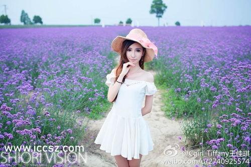 3d豪情手机在线观看,沉浸式观影体验,带你领略视觉盛宴  第2张 3d豪情手机在线观看,沉浸式观影体验,带你领略视觉盛宴  第2张