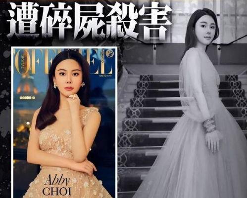 蔡天凤案最新爆料,惊人内幕曝光,真相令人震惊!”