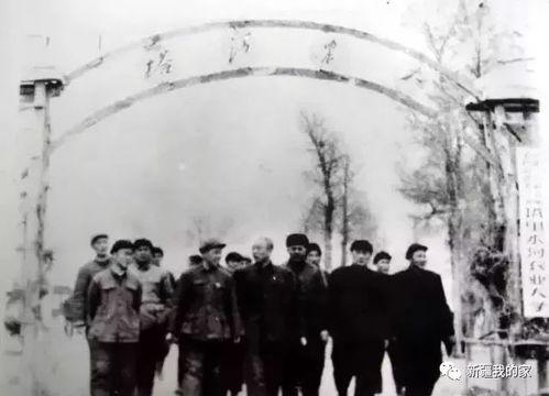 塔里木大学爆料新闻最新,揭秘校园重大事件背后的真相  第2张 塔里木大学爆料新闻最新,揭秘校园重大事件背后的真相  第2张