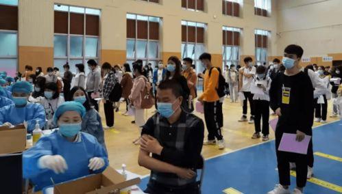 石家庄早市爆料最新消息,新鲜资讯速览  第3张 石家庄早市爆料最新消息,新鲜资讯速览  第3张